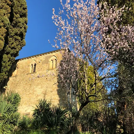 Le Guadalupe By Luigi *